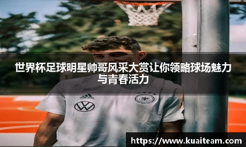 mk体育官网入口